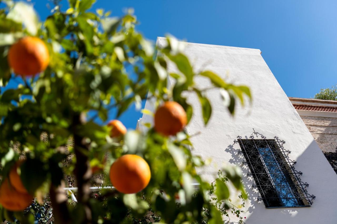 Bed and Breakfast Pájaro Rebelde Siviglia Esterno foto